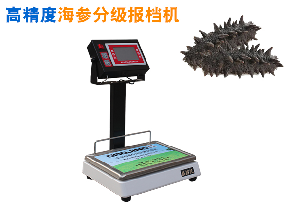 高精度海參分級報(bào)檔機(jī) 海參報(bào)檔機(jī) 海參分級機(jī) 海參分頭報(bào)檔機(jī)